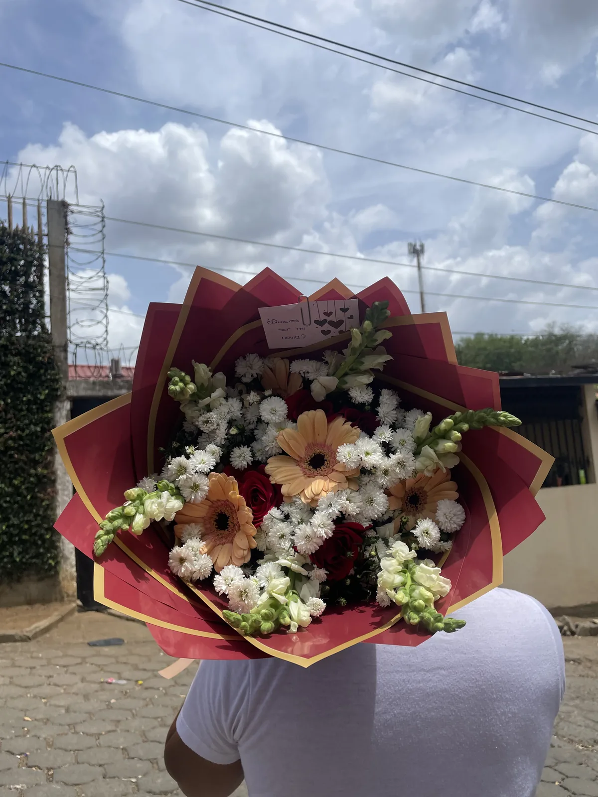 Ramo mixto de gerberas - imagen 1